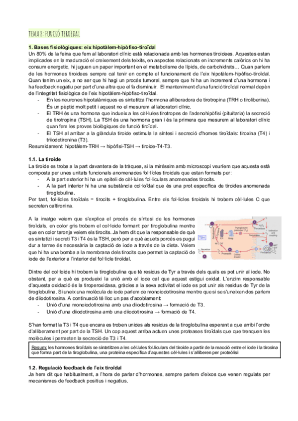 Miniatura del documento Tema-8-funcio-tiroidal.pdf