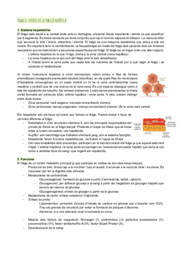 Miniatura del documento Tema-14-estudi-de-la-funcio-hepatica.pdf