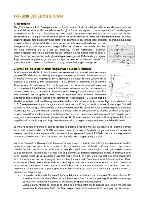 Miniatura del documento Tema-5-control-del-metabolisme-de-la-glucosa.pdf
