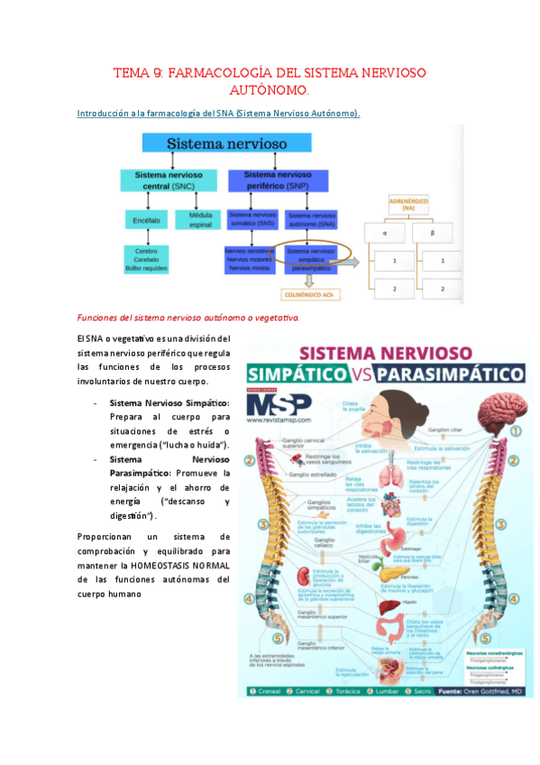 Miniatura del documento T9.-Farmacologia-del-SNA.pdf