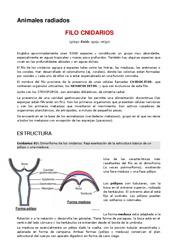 Miniatura del documento TEMA-8.-CNIDARIOS-Y-CTENOFOROS.pdf