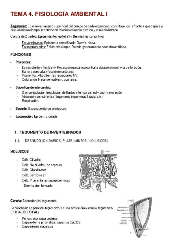 Miniatura del documento TEMA-4-I.pdf