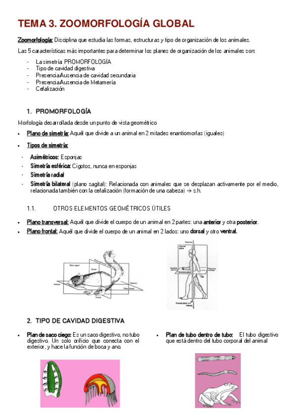Miniatura del documento TEMA-3.pdf