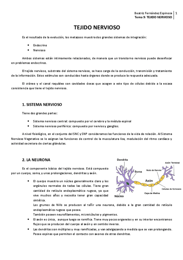 Miniatura del documento Tema 9_Tejido nervioso.pdf