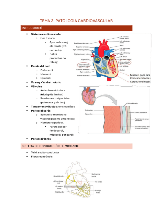 Miniatura del documento Tema-3.pdf