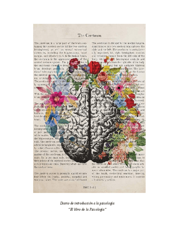 Miniatura del documento Diario-4-La-psicologia-cognitiva.pdf