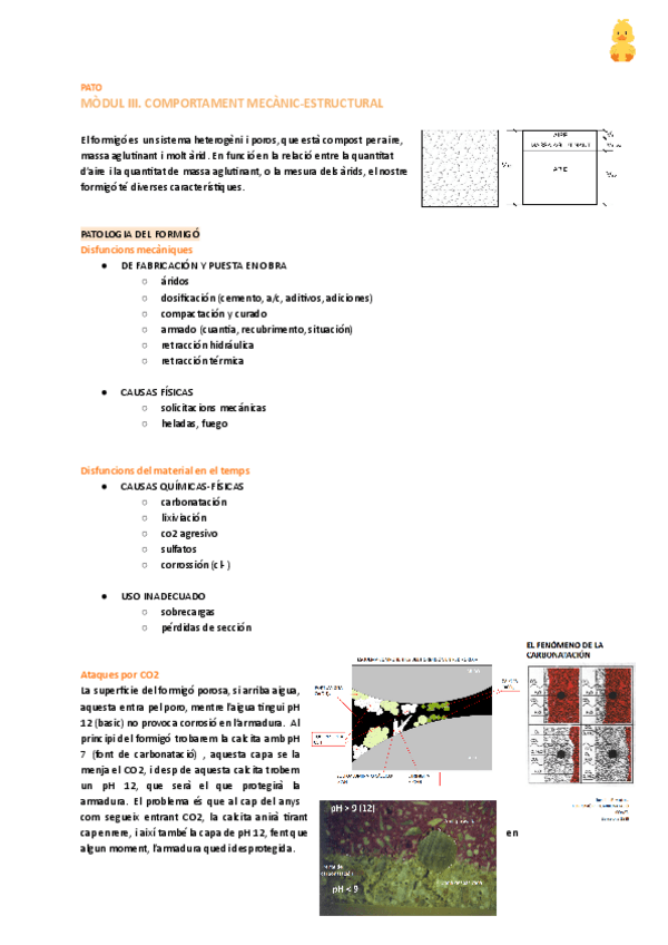 Miniatura del documento MODUL-3-ENTERO-PATO.pdf