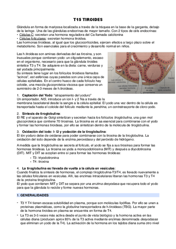Miniatura del documento T15-tiroides.pdf