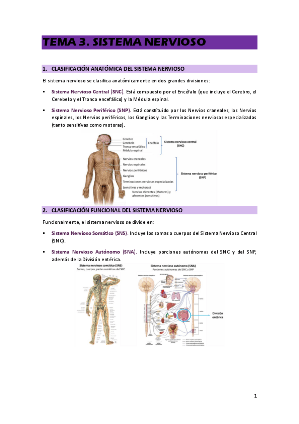 Miniatura del documento TEMA-3.pdf