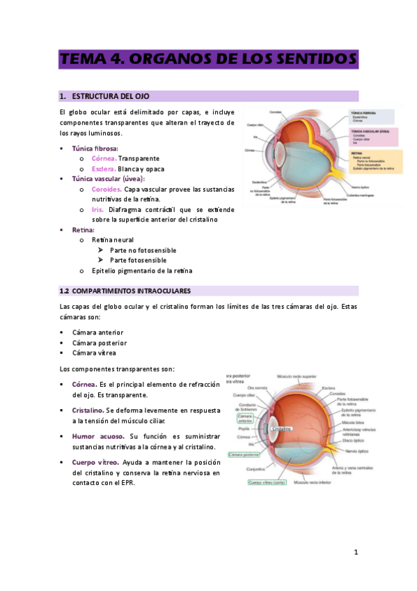 Miniatura del documento TEMA-4.pdf