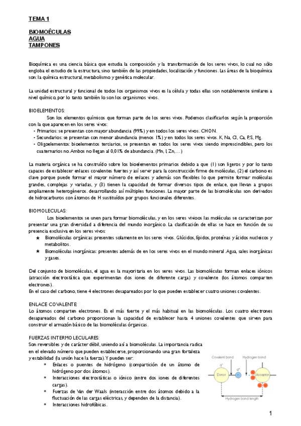 Miniatura del documento Tema 1 biomoleculas.pdf