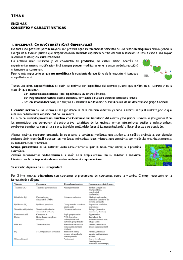 Miniatura del documento Tema 6 copia.pdf