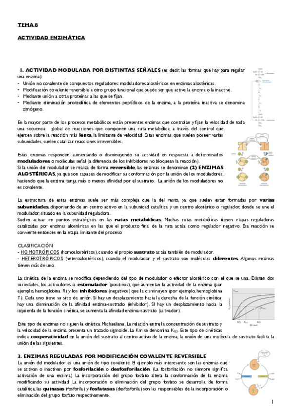 Miniatura del documento Tema 8.pdf