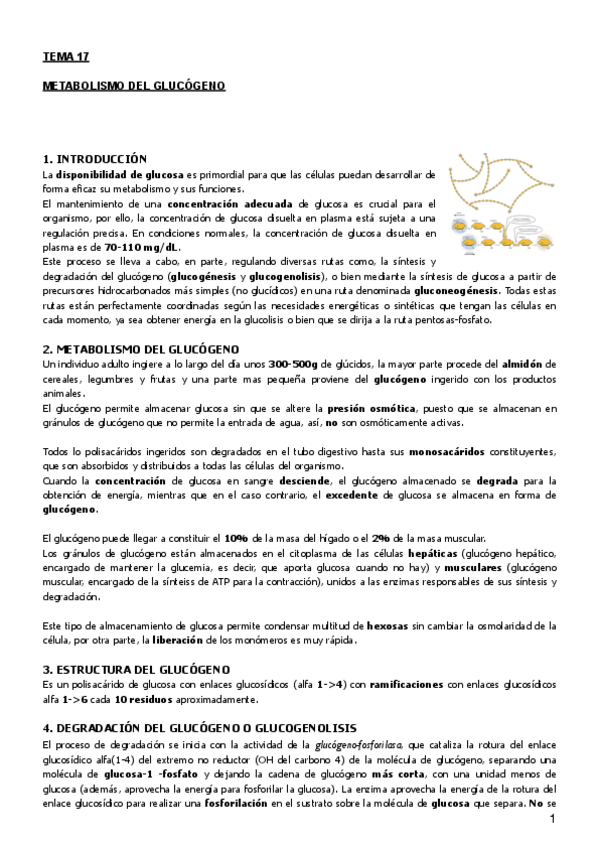 Miniatura del documento Tema 17.pdf