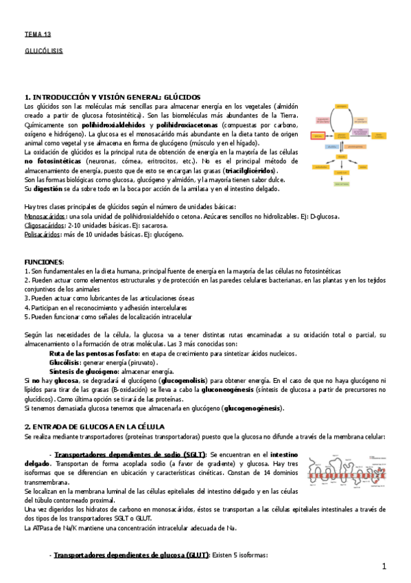 Miniatura del documento Tema 13.pdf
