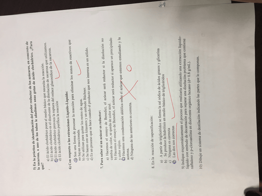 Miniatura del documento IMG_7470.JPG