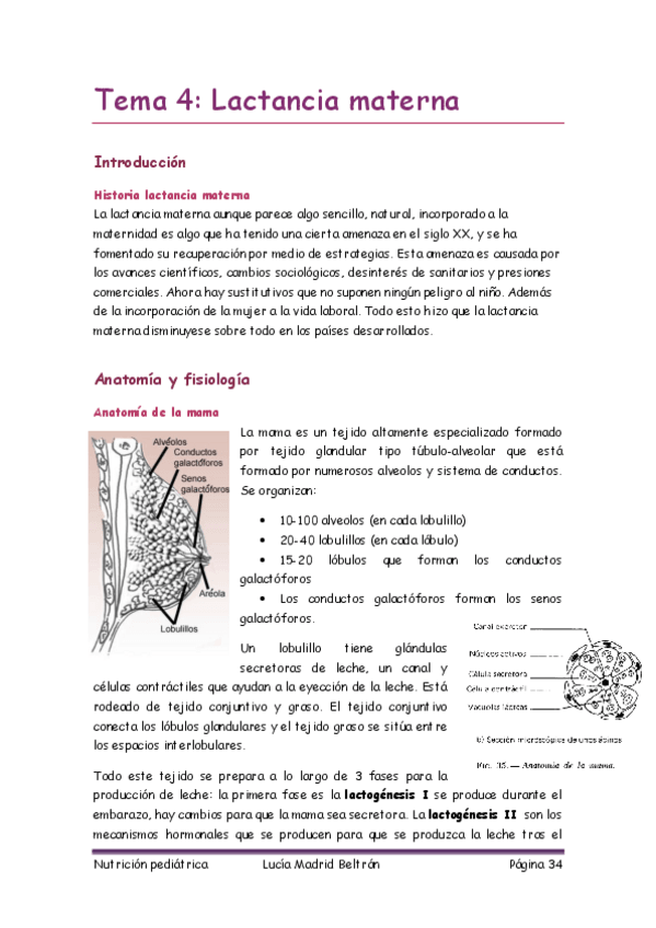 Miniatura del documento pediatrica 4.pdf