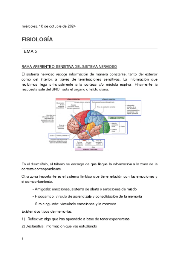 Miniatura del documento Tema-5-fisiologia.pdf