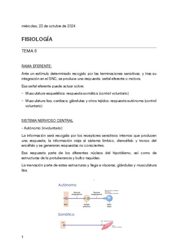 Miniatura del documento Tema-6-fisiologia.pdf