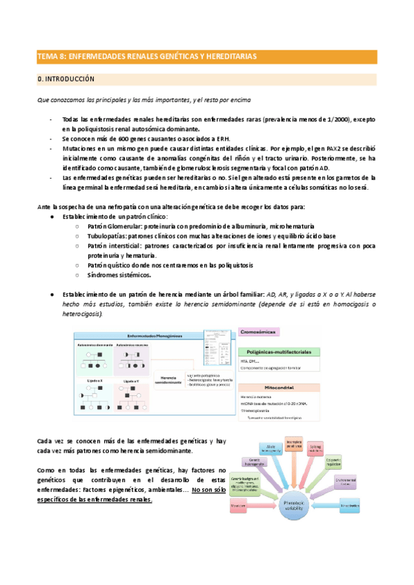 Miniatura del documento TEMA-8ENFERMEDADES-RENALES-GENETICAS-Y-HEREDITARIAS.pdf