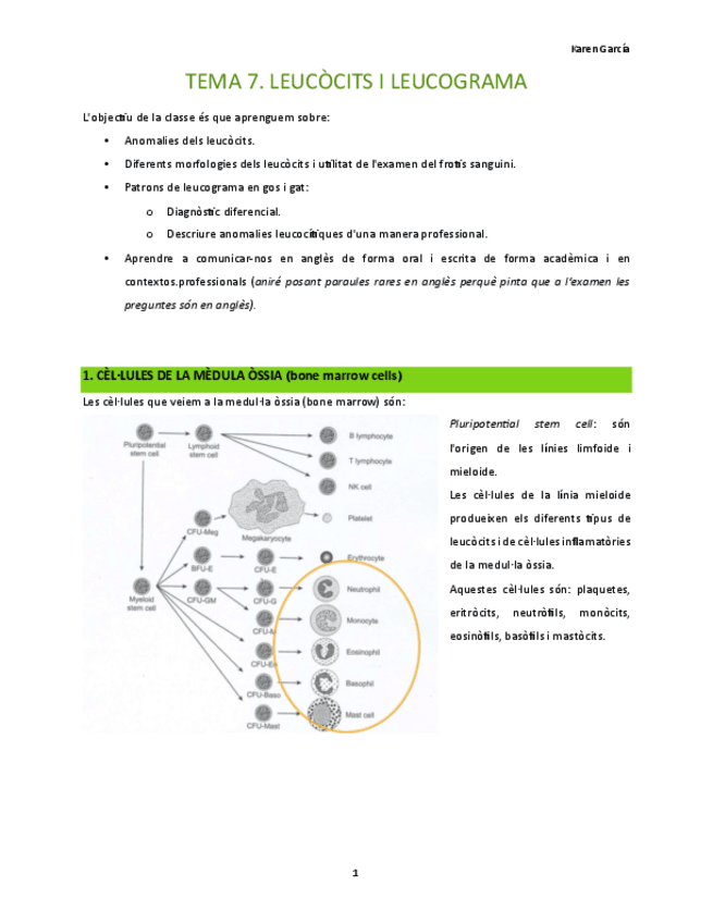Miniatura del documento MI-temes-7-i-8.pdf