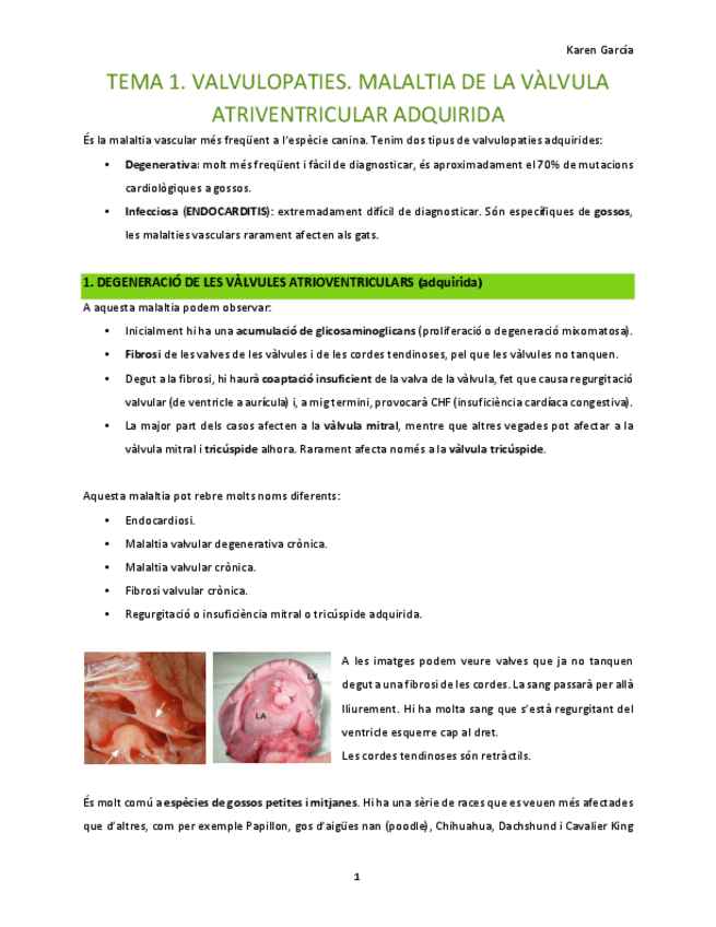 Miniatura del documento Temas-1-y-2-MI.pdf