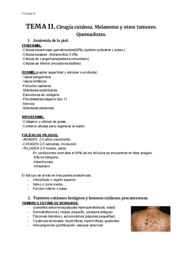 Miniatura del documento T5-PAT-ADULT.pdf