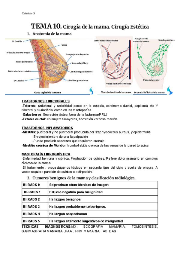 Miniatura del documento T4-pat-adult.pdf