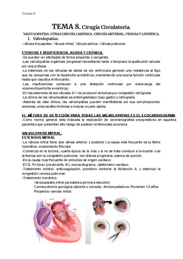 Miniatura del documento T2-PAT-ADUL.pdf