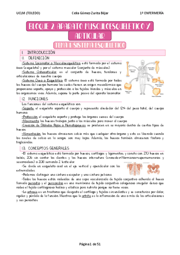 Miniatura del documento B2.-Sistema-Musculoesqueletico-y-Articular.pdf