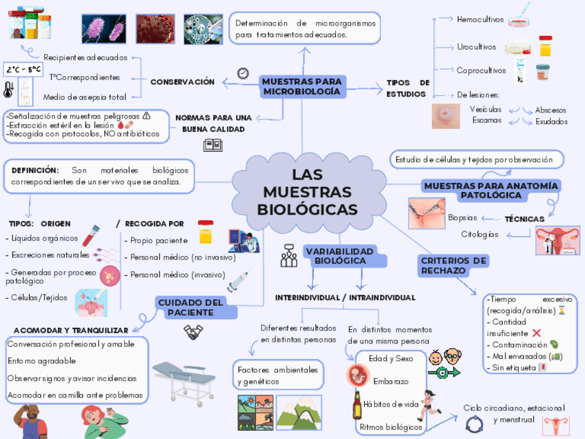 Miniatura del documento GMB-Visual-Thinking.pdf