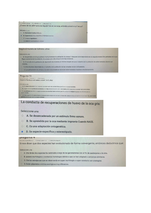 Miniatura del documento EXAMEN-ETO.pdf