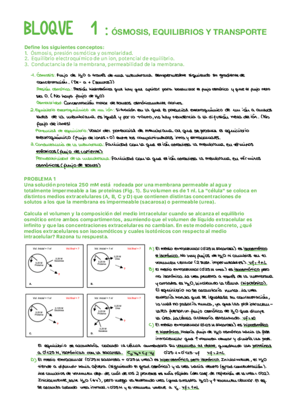 Miniatura del documento Seminarios-FG-y-Sangre-2526.pdf