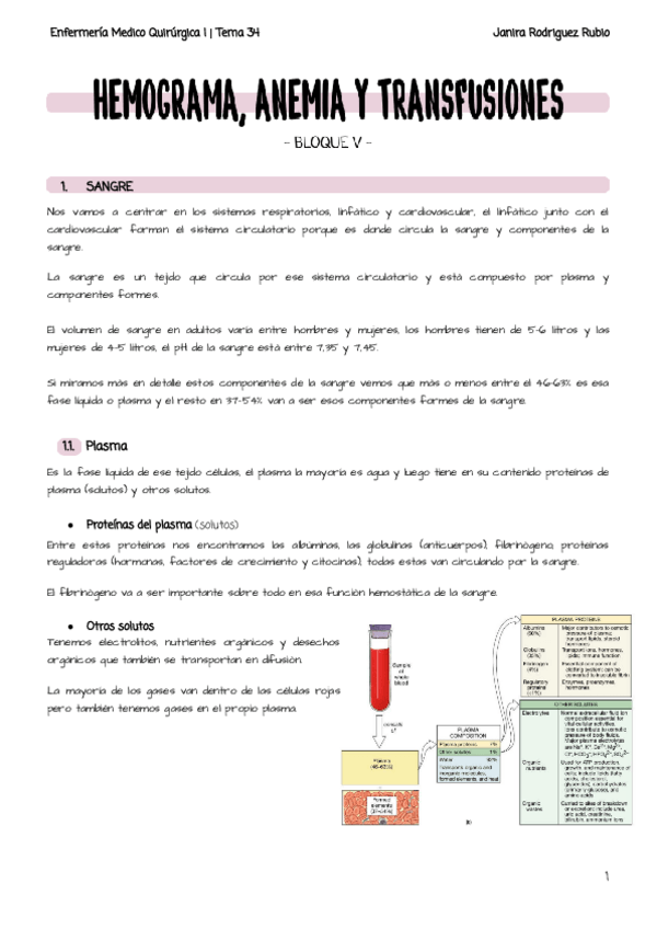 Miniatura del documento Tema-34-Hemograma-anemia-y-transfusiones.pdf