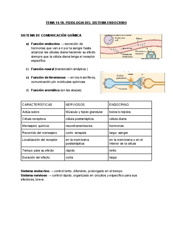 Miniatura del documento TEMA-14-18-FISIOLOGIA.pdf
