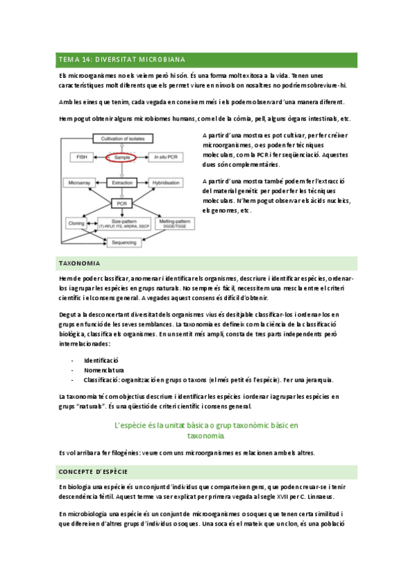 Miniatura del documento tema-14.pdf
