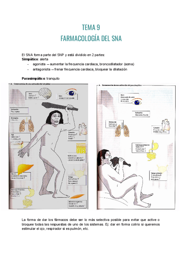 Miniatura del documento Farma-T9-10.pdf