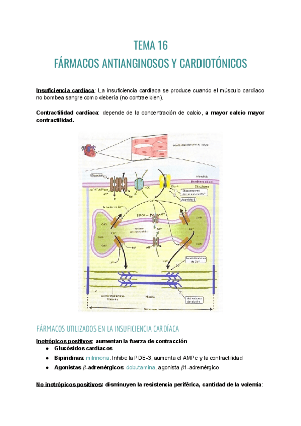 Miniatura del documento Farma-T16.pdf
