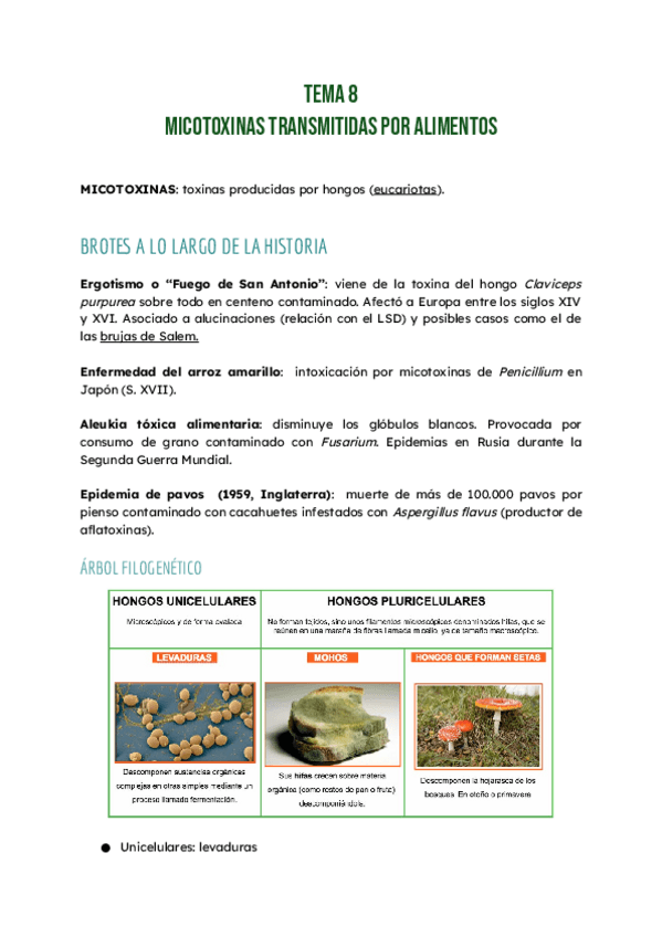 Miniatura del documento RB-T8.pdf
