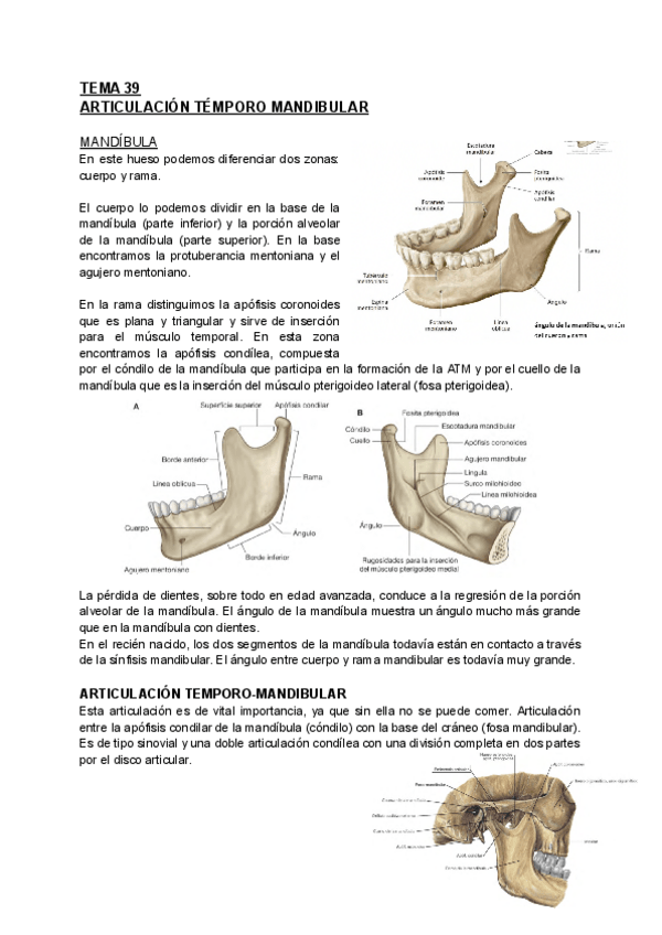 Miniatura del documento TEMA-39.pdf
