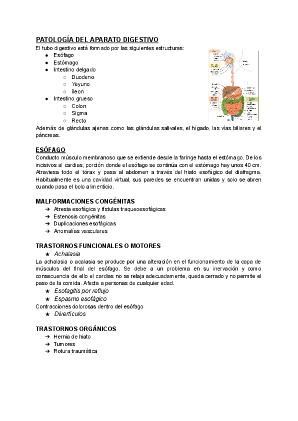 Miniatura del documento PATOLOGIA-DEL-APARATO-DIGESTIVO.pdf