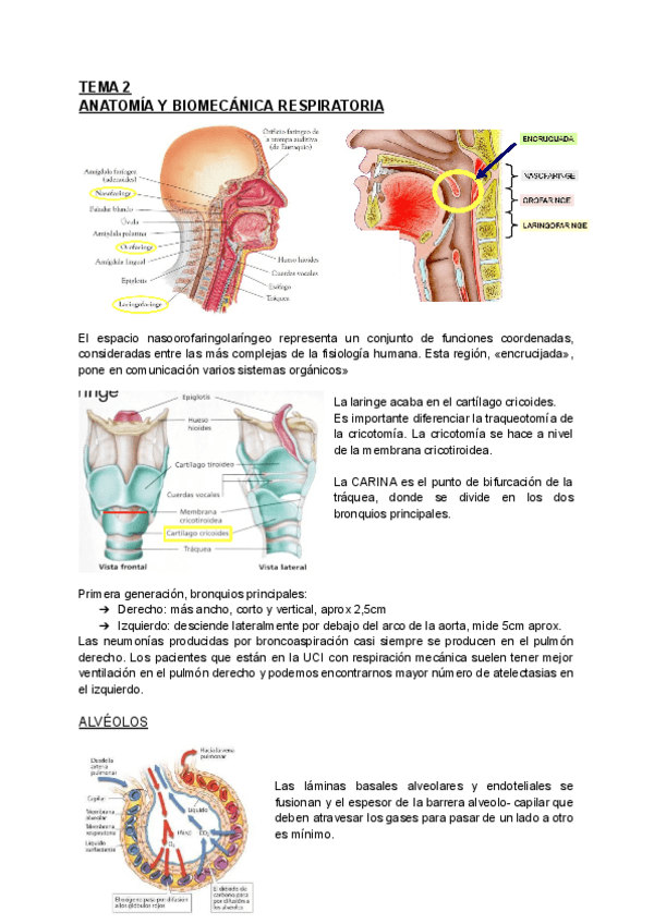 Miniatura del documento RESPI-COMPLETO.pdf