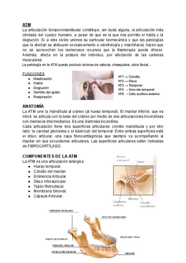 Miniatura del documento ATM.pdf