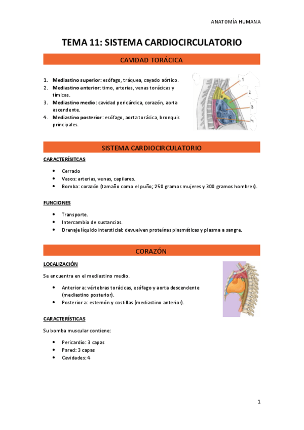 Miniatura del documento TEMA-11.pdf