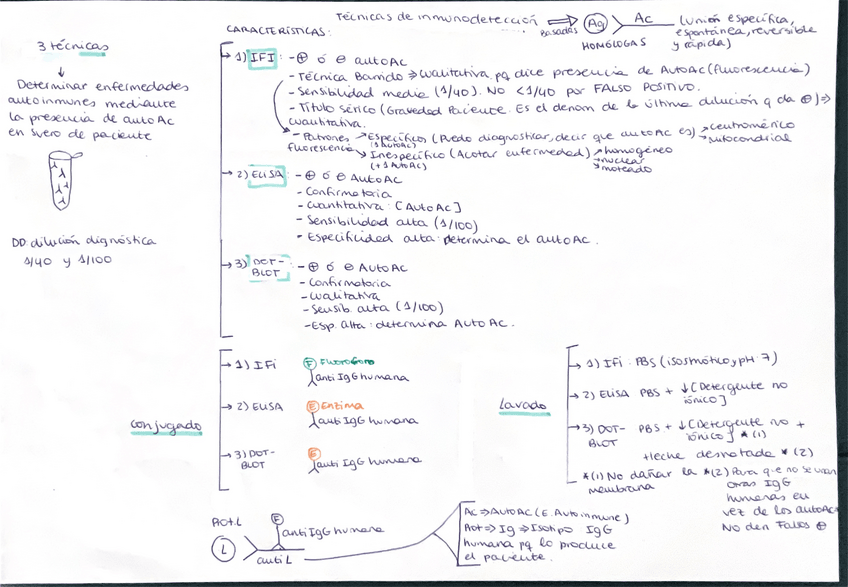 Miniatura del documento Apuntes-practicas-inmunologia.pdf
