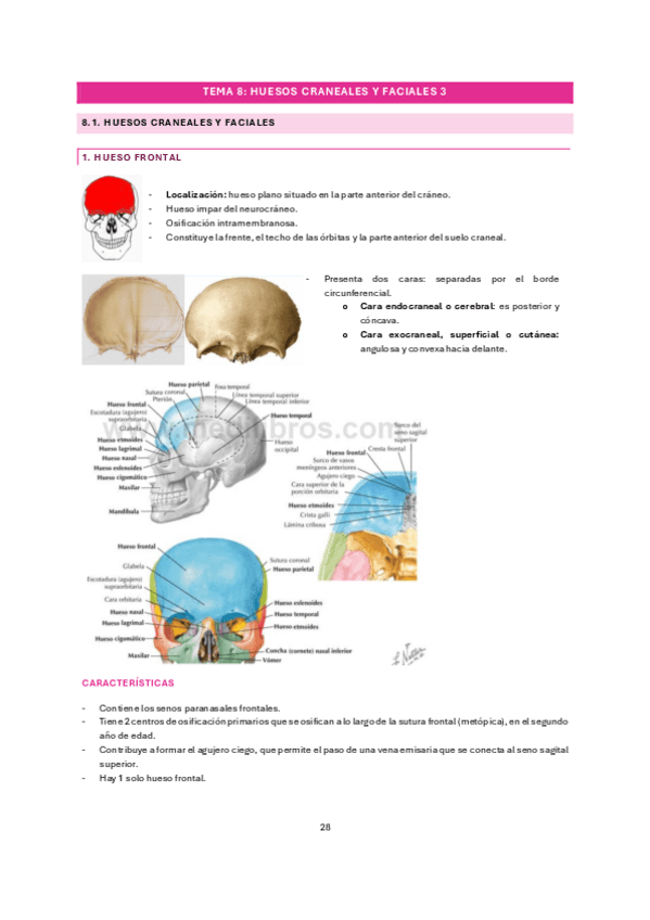 Miniatura del documento tema-8.pdf