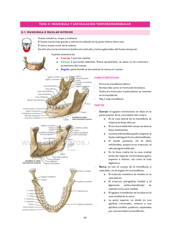 Miniatura del documento tema-9.pdf