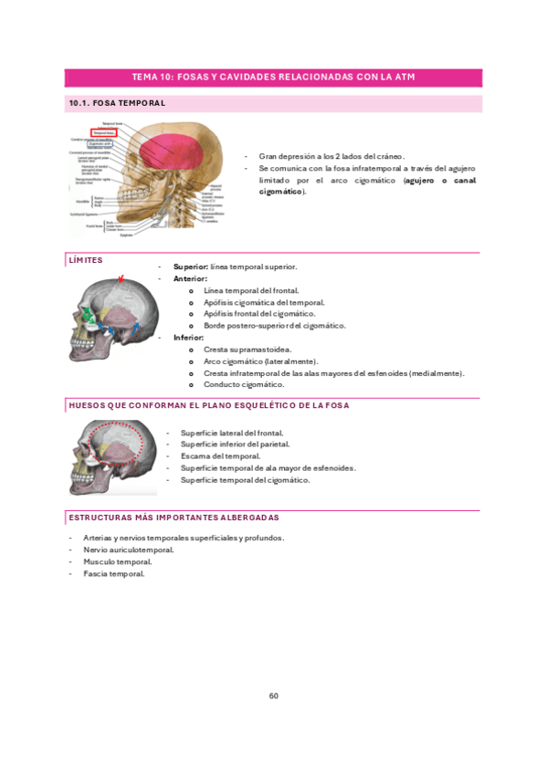 Miniatura del documento tema-10.pdf