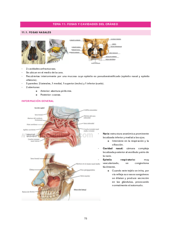 Miniatura del documento tema-11.pdf