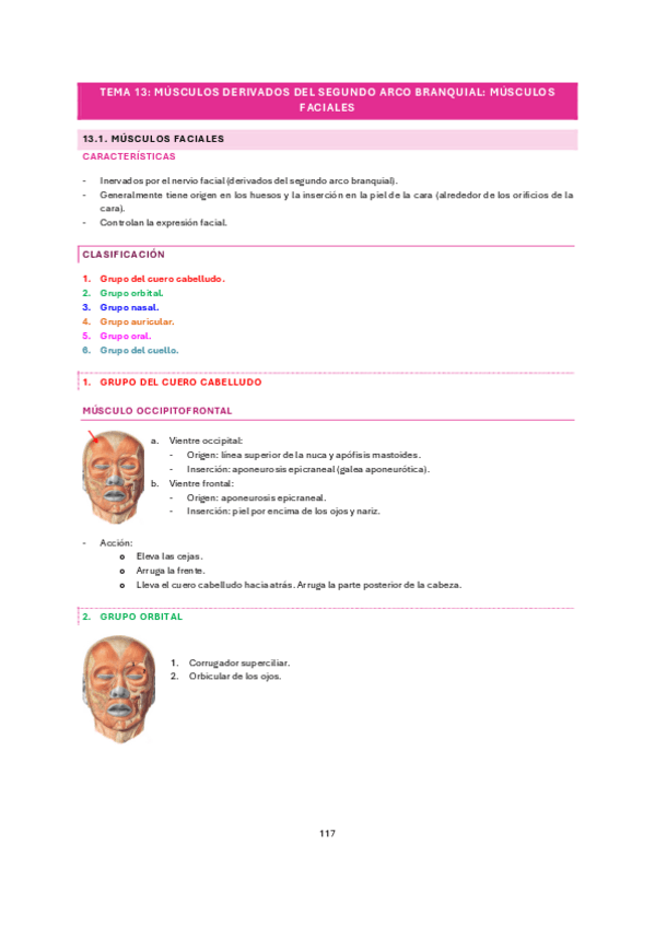 Miniatura del documento tema-13.pdf